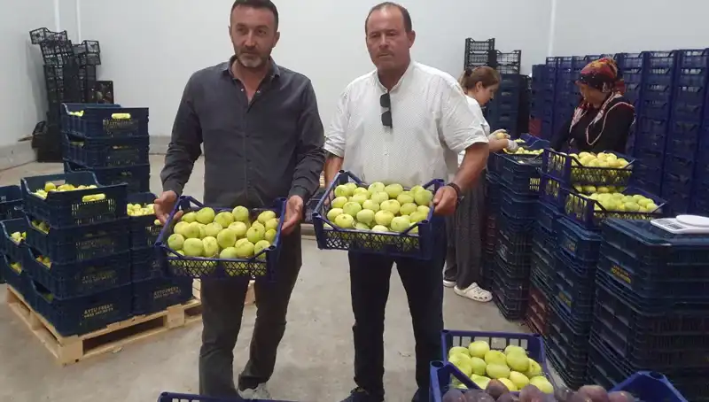 Mersinli Çiftçinin İhracat Başarısı: 20 TL’den Satış Rekoru